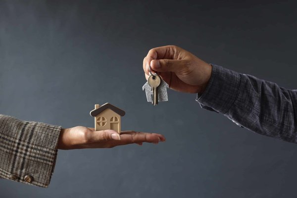 Pourquoi se faire former dans la rénovation immobilière ?