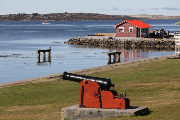 Les Îles Malouines : Un voyage inoubliable entre nature et patrimoine
